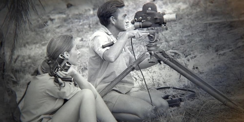 Джейн Гудолл с мужем Гуго ван Лавиком Джейн Гудолл с мужем Гуго ван Лавиком