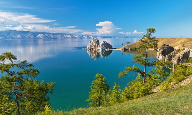 Байкальские рачки: тайна глубин