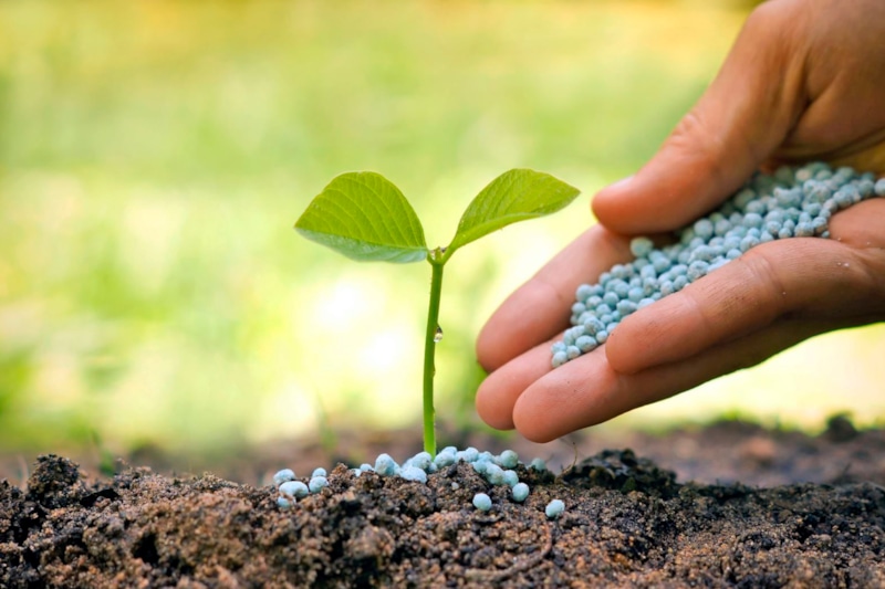 Осенняя обработка почвы: биопрепараты вместо химии