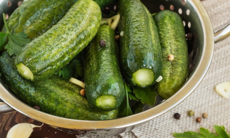 Хрустящие огурцы: не сорт, а технология