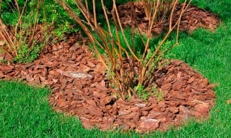 Осеннее мульчирование: выбор материала