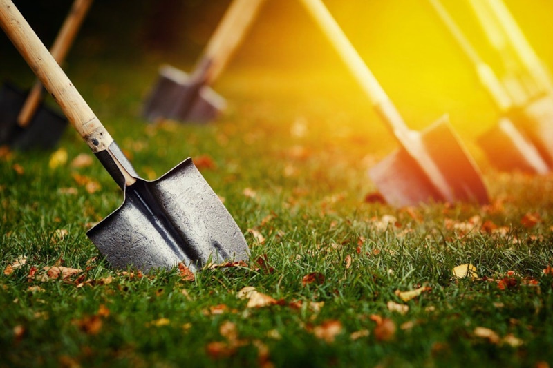 Осенняя перекопка: польза или вред