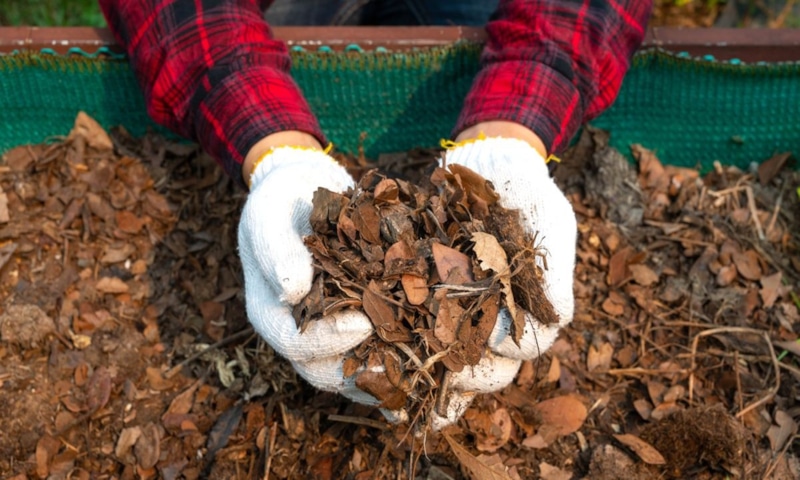 Осенний компост: питание для весеннего сада