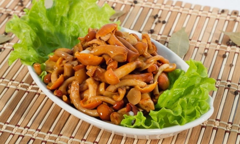 Маринованные опята: вкус осени в банке