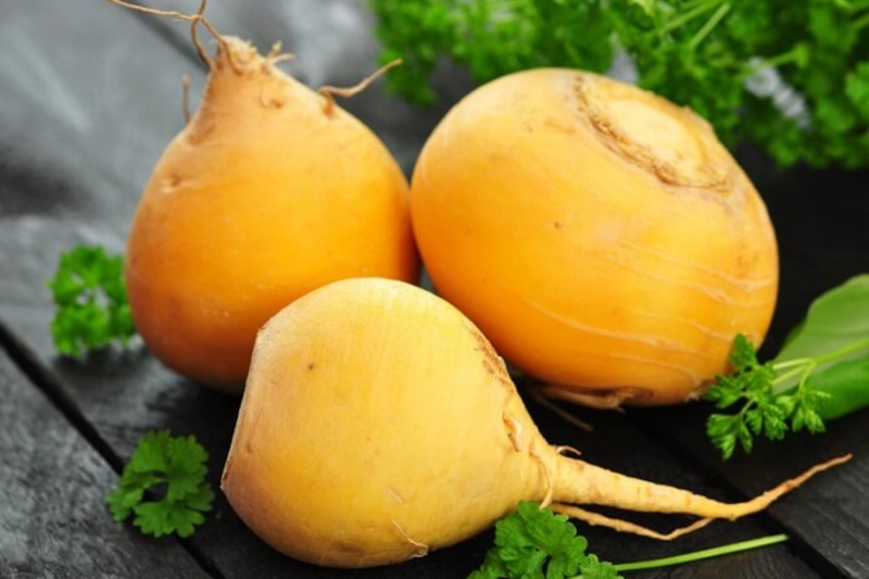 Заморозка репы: польза и запас свежести