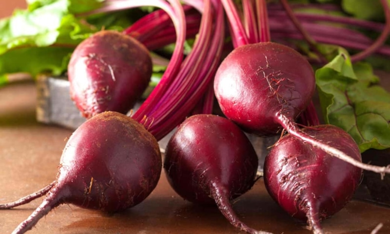 Свекла в пакете: хранение без погреба Свекла в пакете: хранение без погреба