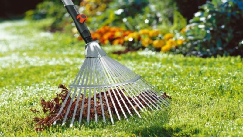 Осенние работы в саду: подготовка к зиме Осенние работы в саду: подготовка к зиме