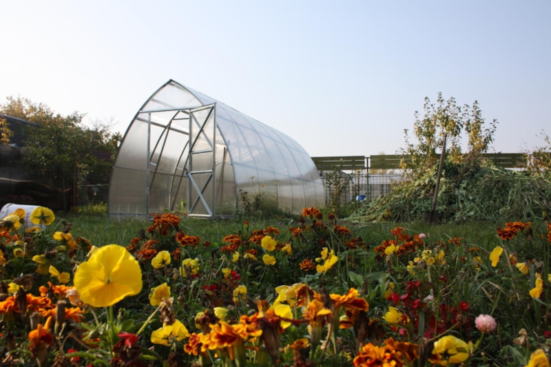 Осенняя теплица: чистка и восстановление