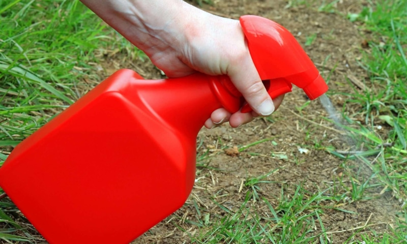 Домашний гербицид: рецепт для осенней обработки сорняков