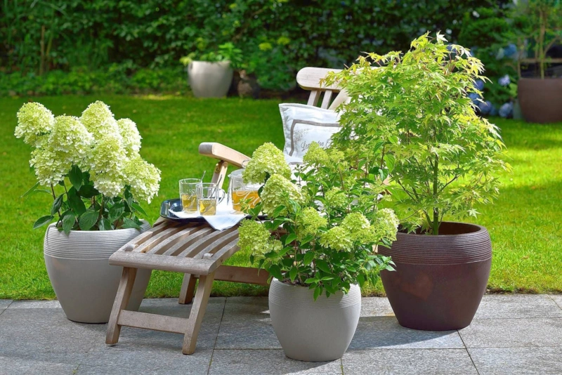 Кашпо осенью: защита от гнили и холода