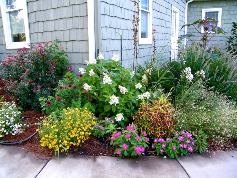 Клумба под окном: уют и цвет Клумба под окном: уют и цвет