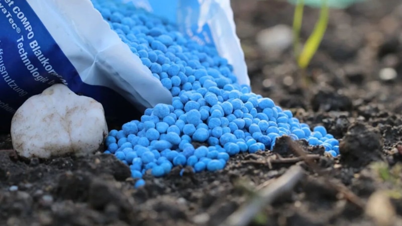 5 удобрений: сила урожая