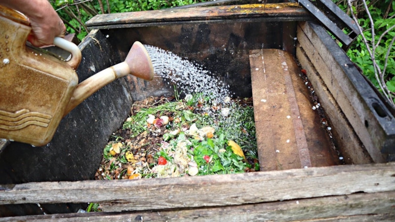 Осенний компост: пробуждение бактерий