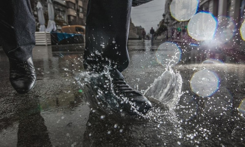 Защита обуви: сила воска и масла