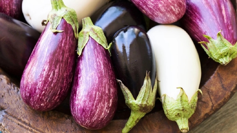 Выбор баклажанов: фиолетовые и белые