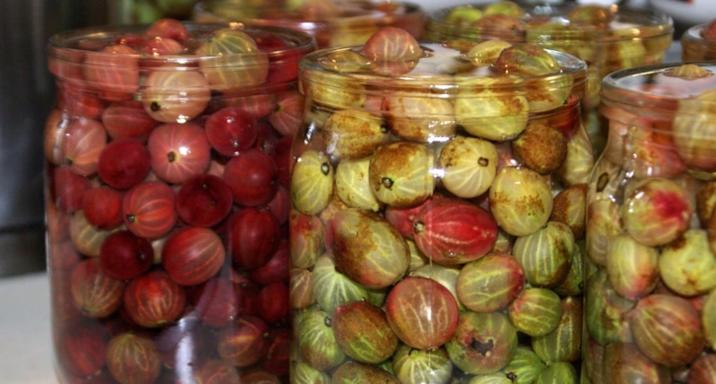 Маринованный крыжовник: необычная зимняя закуска