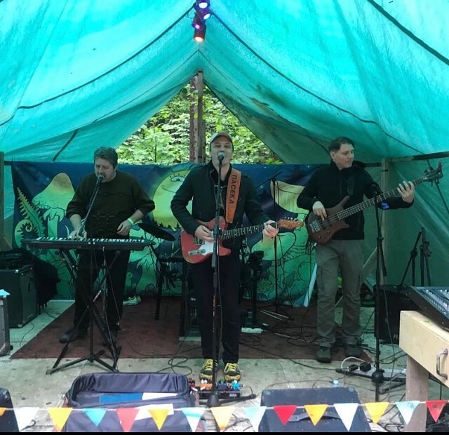 Роман Медвёдкин и рок-группа «Пасека»