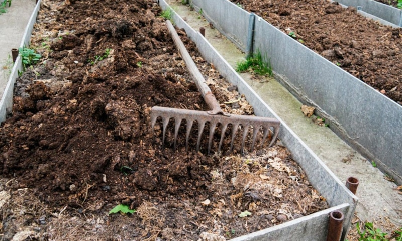 Осеннее омоложение грядок: секреты успеха