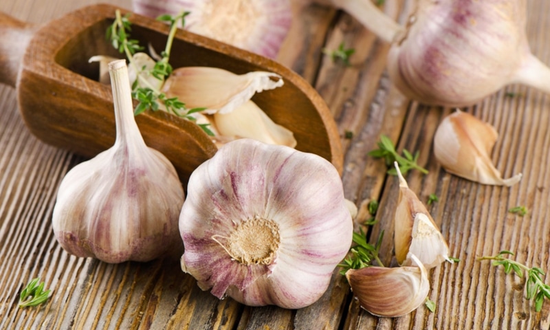 Хранение чеснока: 5 старых способов
