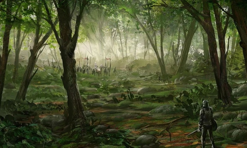 Средневековый лес: магия деревьев