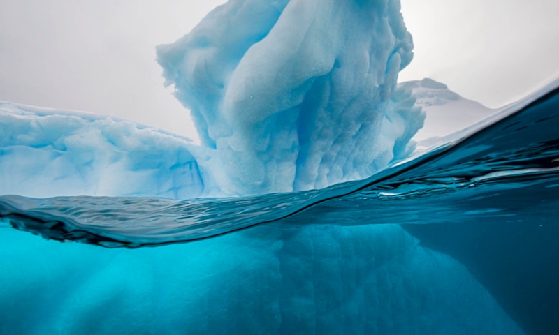 Подледная жизнь: тайна озера Мерсер