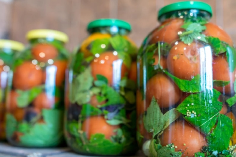 Помидоры в листьях винограда: аромат родом из лета Помидоры в листьях винограда: аромат родом из лета