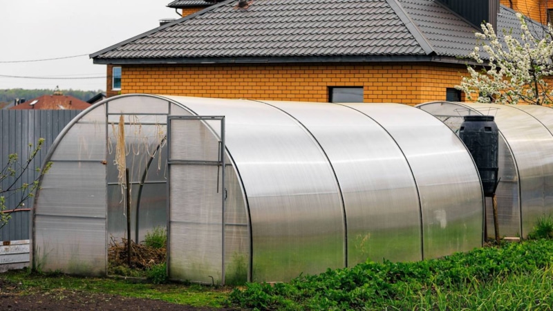 Осень в теплице: дезинфекция и уход