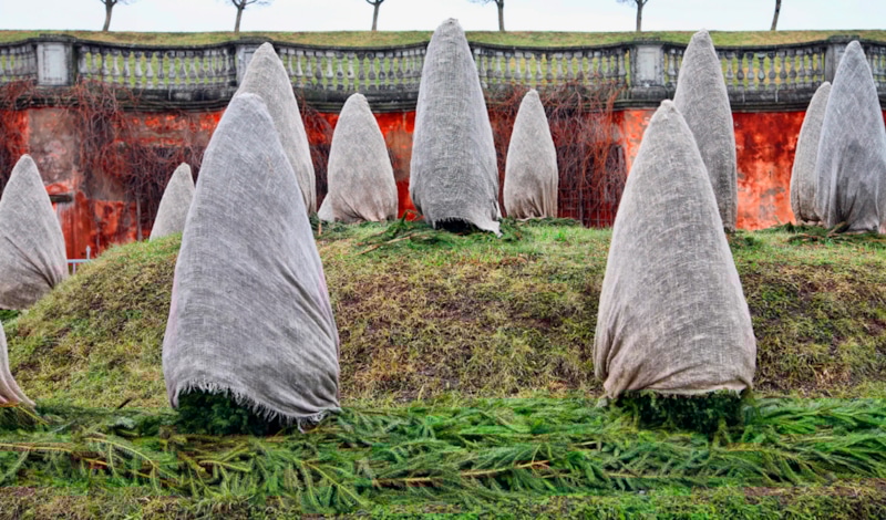 Укрытие сада: защита от морозов