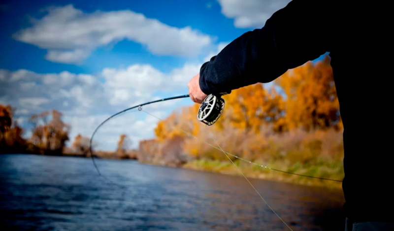 Осенний улов: хитрости рыбалки