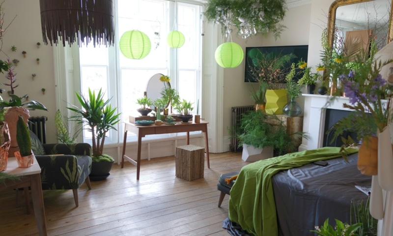 Комнатные растения: миф о чистом воздухе