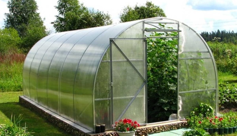 Обработка теплицы: осенняя дезинфекция