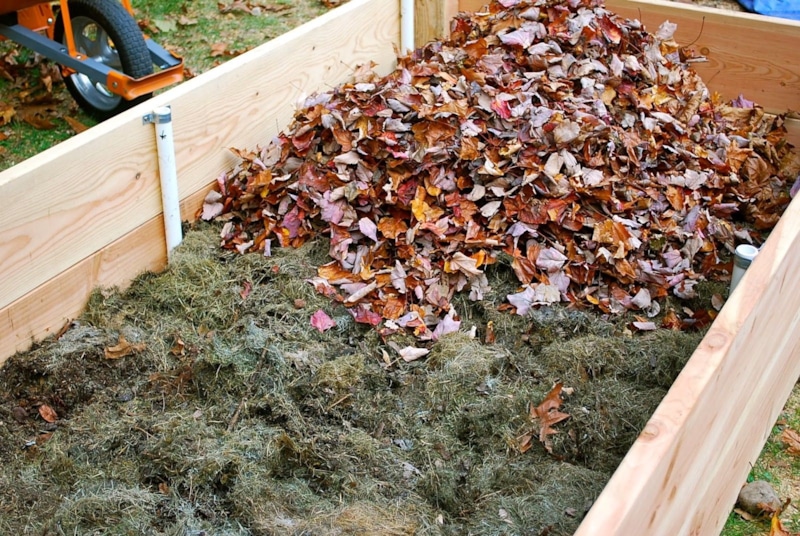 Зимний компост: тепло внутри кучи