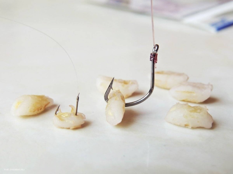 Перловка для рыбалки: сила простоты