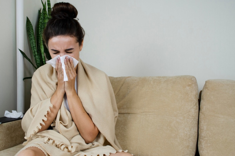 Пылевые клещи: невидимая опасность дома