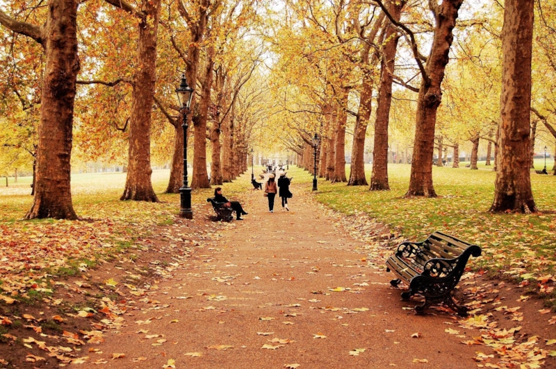 Осенняя хандра: свет и движение