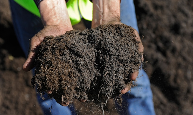 Фульвокислоты: зимний заряд почвы