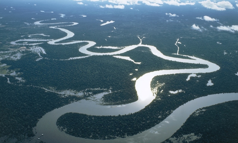 Амазонка в беде: вода под огнем