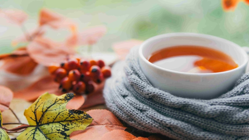 Теплые напитки: помощь при простуде