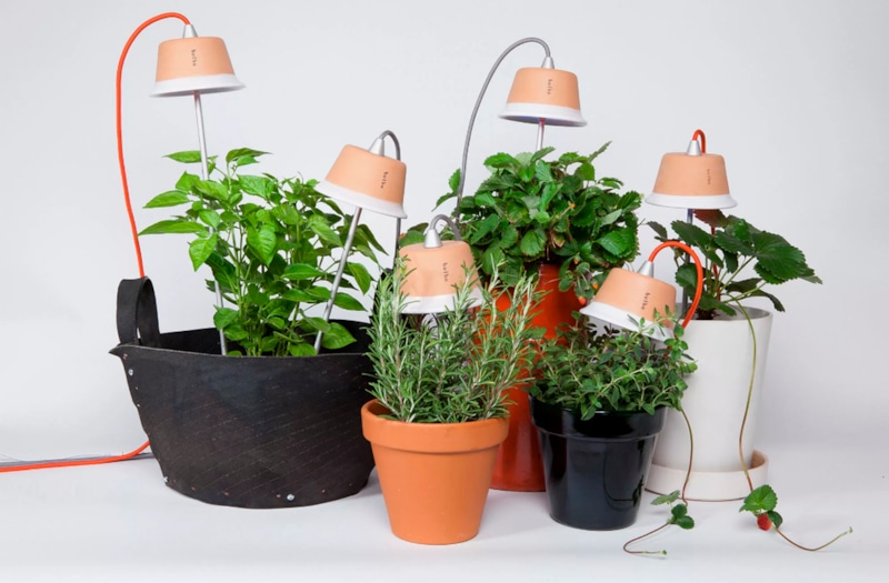 Зимний уход: свет и тепло