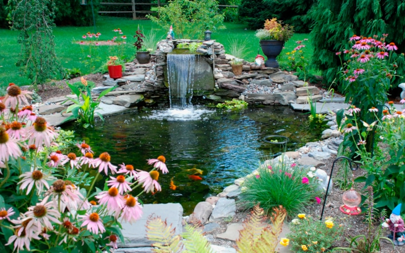 Прудовое оформление участка: гармония пространства
