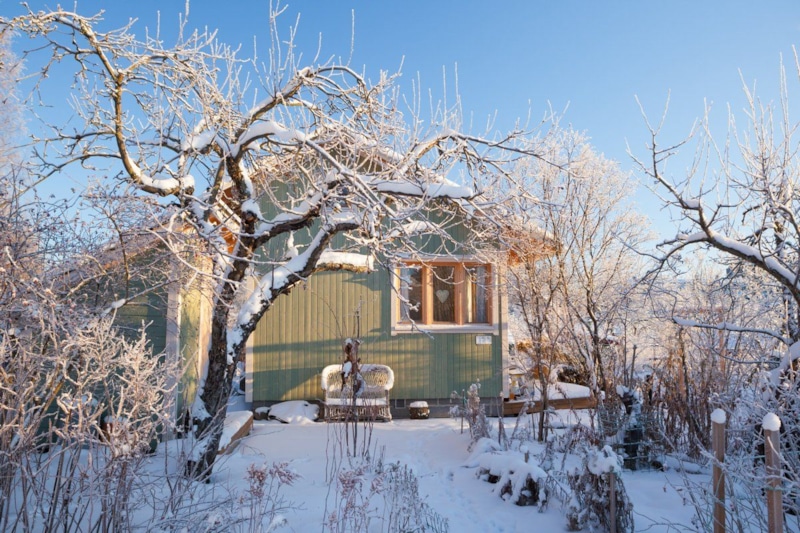 Зимний сад: сила снега