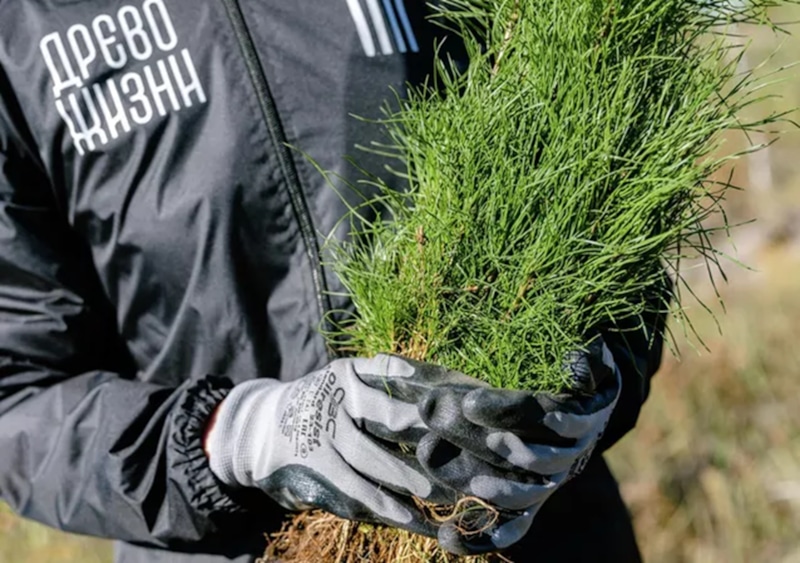 Эта суббота отлично подходит для того, чтобы выйти на субботник Эта суббота отлично подходит для того, чтобы выйти на субботник