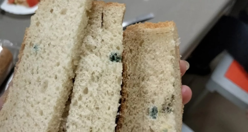 Марина Павлова обнаружила испорченный хлеб, который раздавали ученикам в столовой школы №65