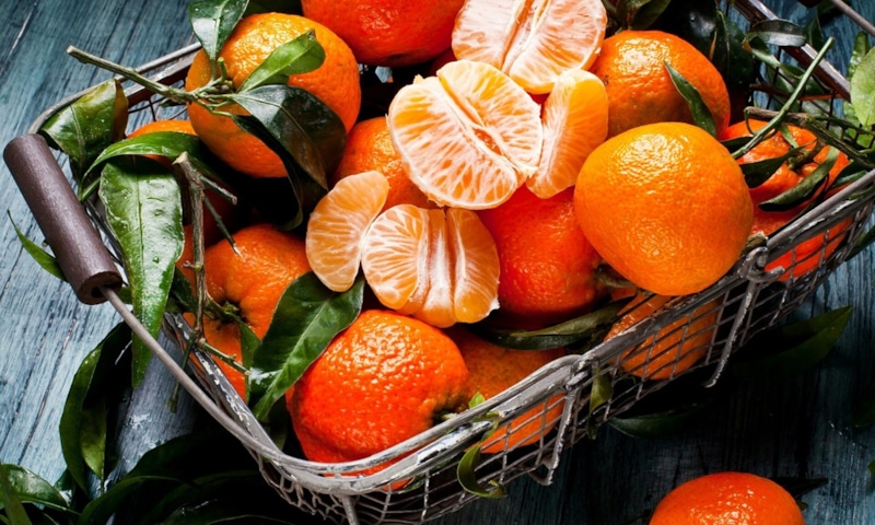 Сочные мандарины: выбор без ошибок