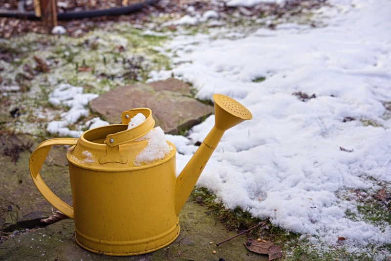Зимняя защита: сохранность поливочного инвентаря