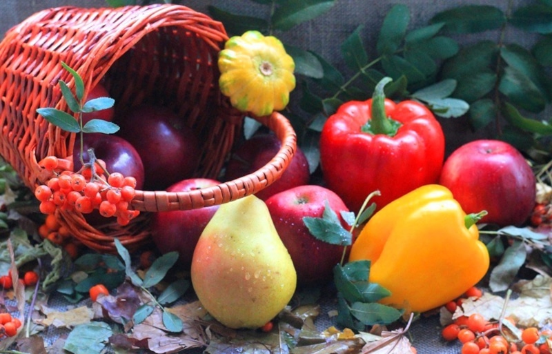 Осенний сахар: контроль питания