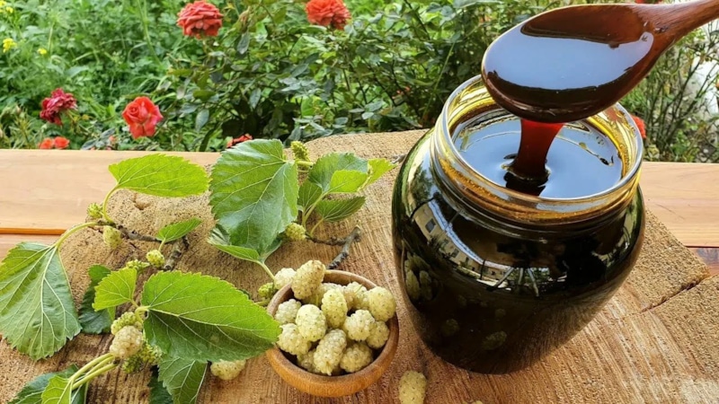 Шелковица с сахаром: витаминная заготовка