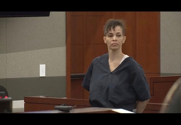 Девин Майклс в суде