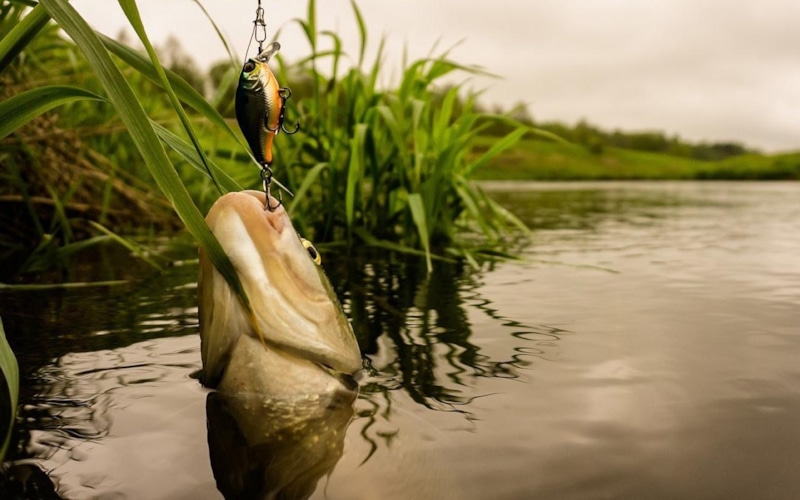 Осенний клев: кислород подсказывает точки