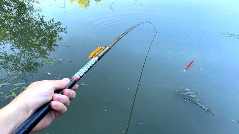 Ноябрьский карп: тонкие снасти решают